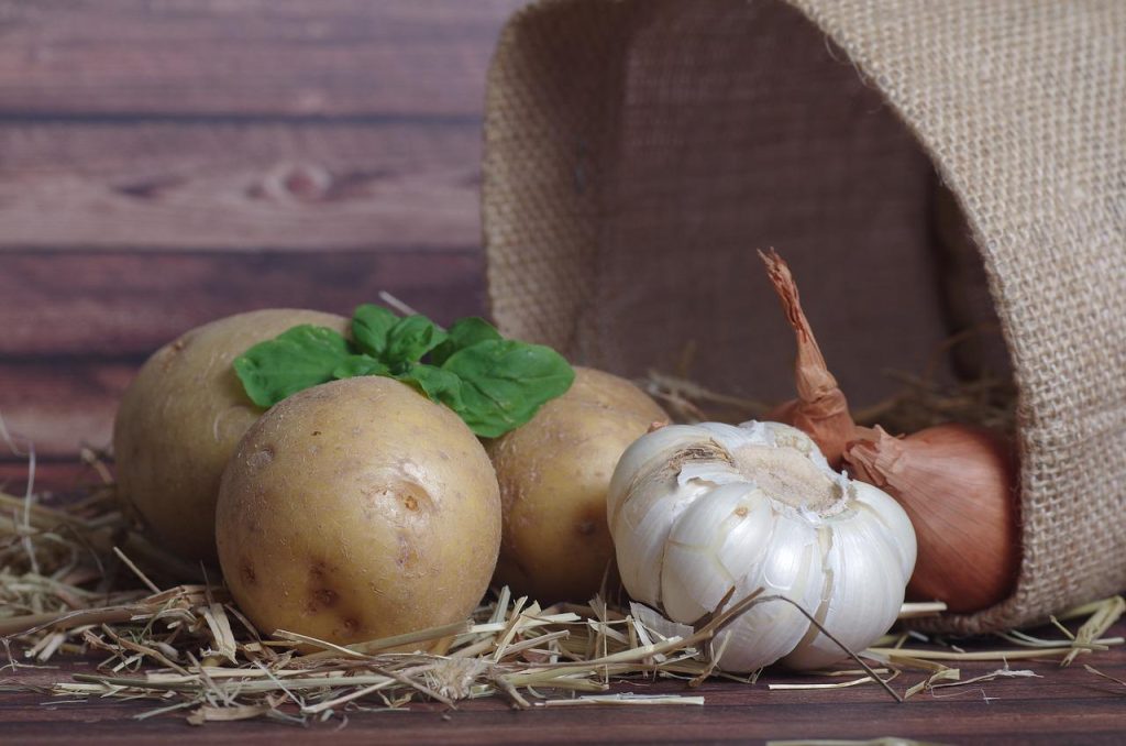 Pomme de terre